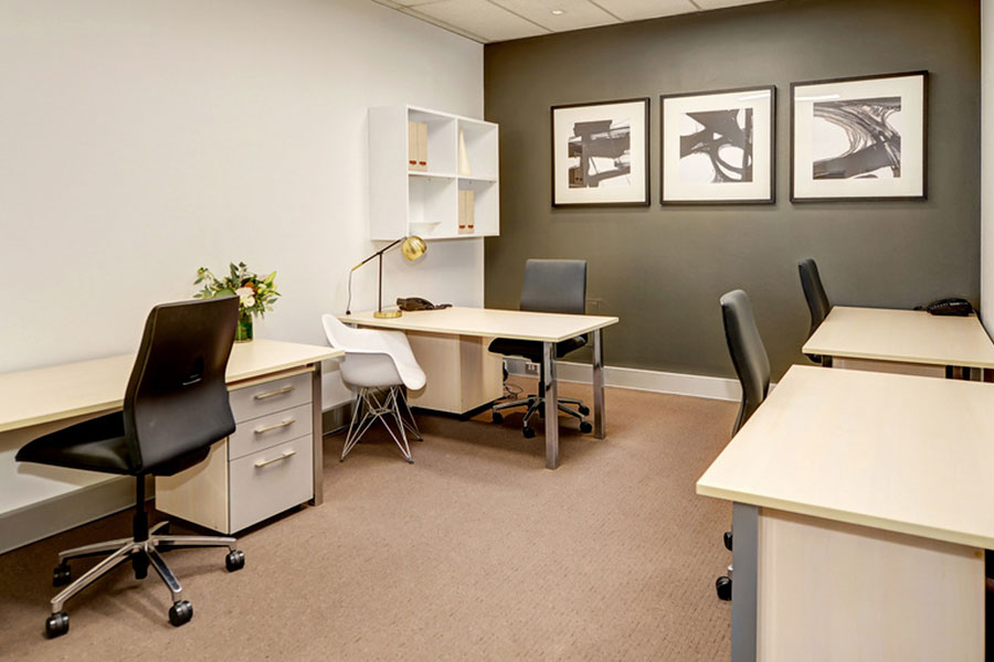 5 - 6 Person Workspace